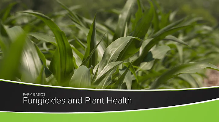 Fungicides and Plant Health