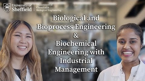 Biological & Bioprocess Engineering and Biochemical Engineering with Industrial Management