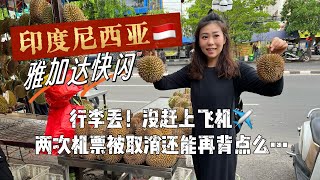 印度尼西亚VLOG 雅加达快闪JAKARTA VLOG榴莲一条街吃榴莲被坑最排华国家是否真排华印尼探店泰航商务舱到底怎么样行李丢飞机没赶上回程两次订票连续被取消是有多背