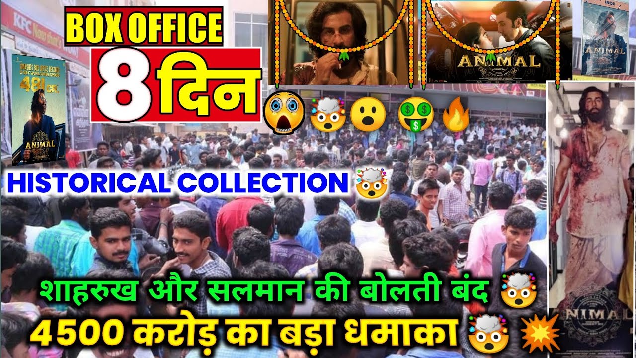Animal Unstoppable🤯 Box Office Report Day 8 | Animal Box Office Collection | Animal Review