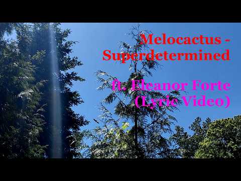 Superdetermined | Melocactus ft. Eleanor Forte (Lyric Video)