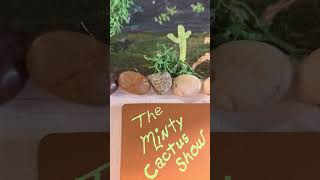 Download Lagu Thank You Mona! MP3