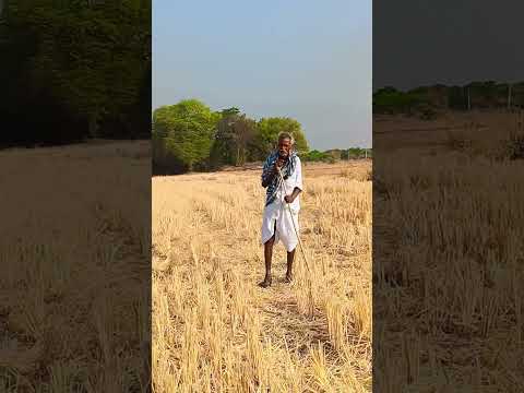 70 ఏళ్లు వచ్చినా ఆ తాత చాలా స్ట్రాంగ్ గా ఉన్నాడు మనమైతే 30 ఏళ్లకే అలా ఆడపడుచును