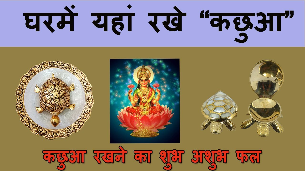 Kachuva Konsi Disha Mein Rakhe? Kachuva Ghar me kaha rakhe? kaushik