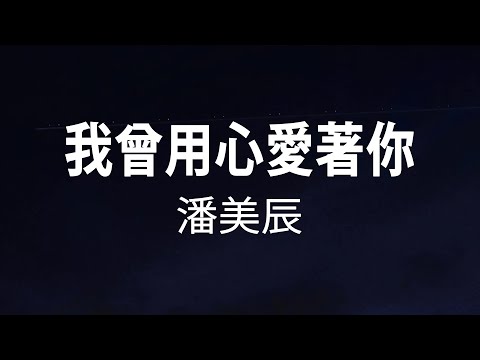 潘美辰 - 我曾用心愛著你