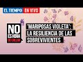 'Mariposas Violeta': la resiliencia de las sobrevivientes | El Tiempo