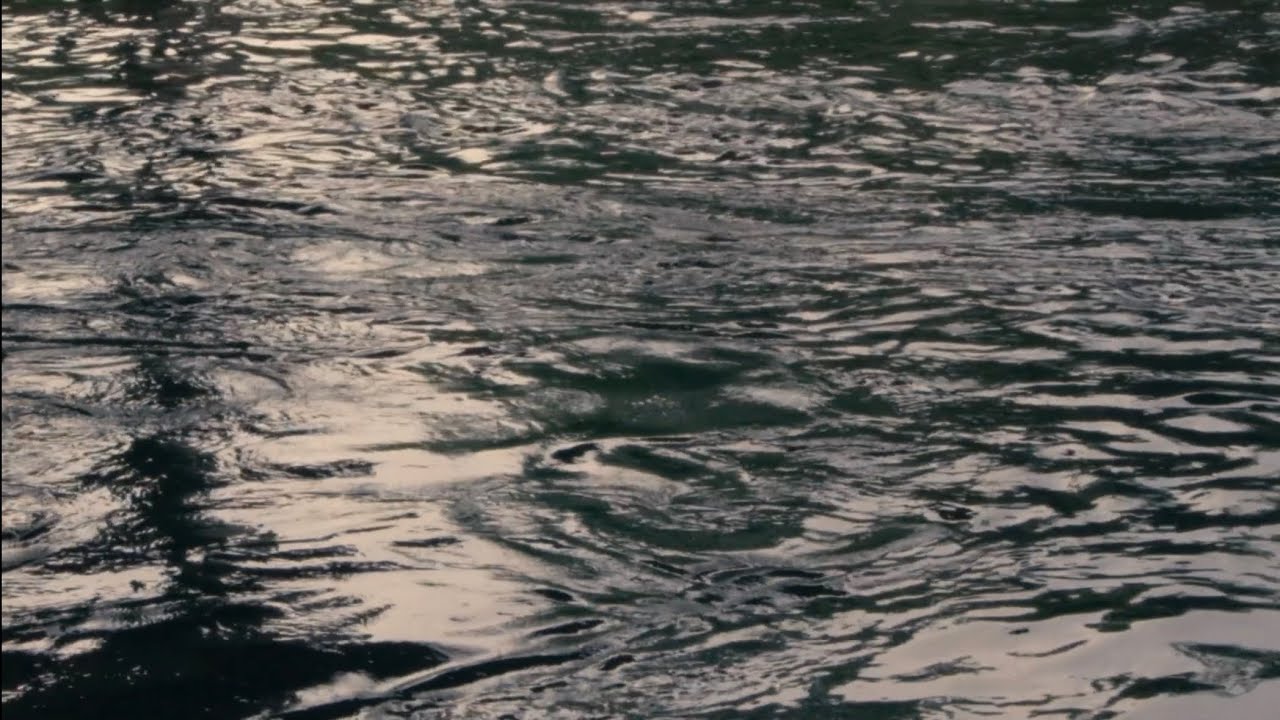 Ahns - Other Houses (Official Video)