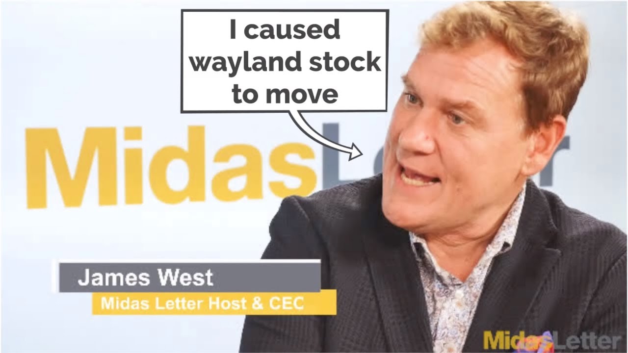 what caused Wayland (wayl) stock to skyrocket YouTube