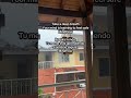 29 de enero de 2026