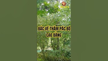 Bác Hồ Về Thăm Pác Bó Đã Làm Những Gì?#daovip #caobang #dulich #lichsu #ditichlichsu #BacHo #pacbo