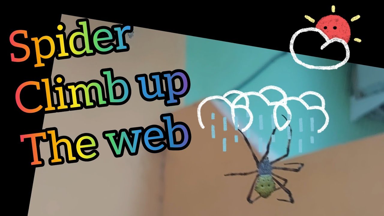 Spider Climb up the  itsy bitsy spider move on YouTube