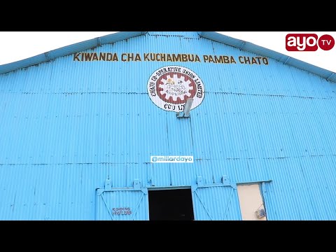 Video: Kiwanda Cha Pamba Cha Barbados