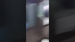 Saur ra saur sakarepmu