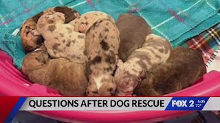 Puppy dies in hot truck; animal advocates demand swift action
