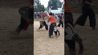 Maheso Lawung Sejati  Jtv Malang  jaranan bantengan subscribe shorts