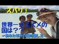 世界で一番おすすめな国とは?【添乗員のおすすめ】