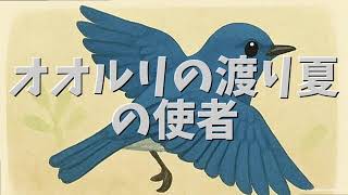 bird blueプロフ確認のお願い mqdefault.jpg