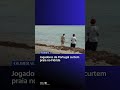 Jogadores de Portugal curtem praia no Flórida