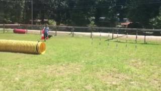 Img 1262