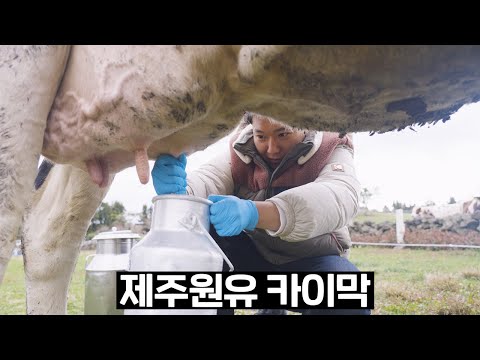 카이막은 <strong>사드세요</strong>..... 제발