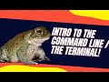 How to Use the Terminal on Both Mac and Windows - Intro to the Command Line