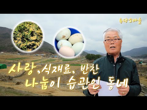 봄바람 같이 | 경남 거창군 <strong>가조면</strong> 용당소마을(KBS 2023.04.12 방송)