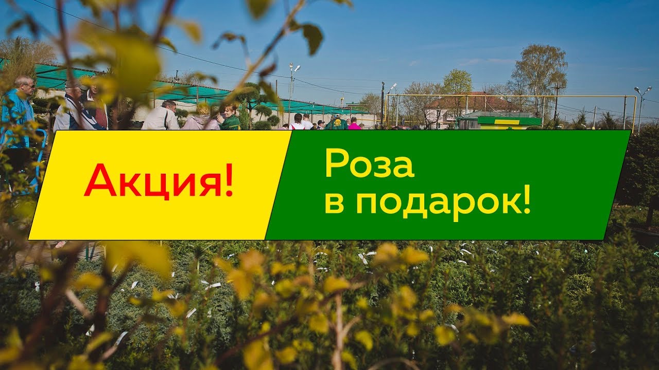 Интернет Магазин Аллея Садовый Центр