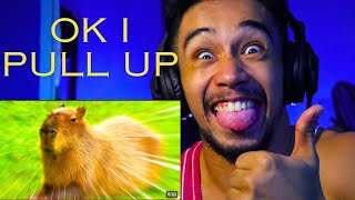 ok i pull up capybara FIRST TIME REACTION