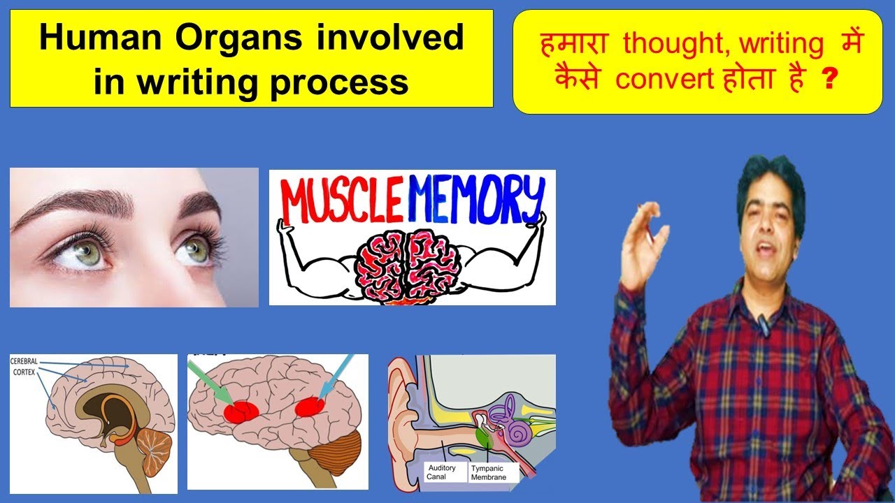 Human Organs which helps to secure UPSC IAS Mains writing - YouTube