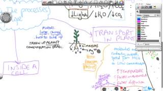 OCR 21C REVISION: B4 in under 20 minutes