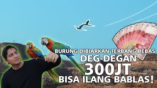 Burung Terbang Bebas, Deg-Degan 300 Juta Bisa Ilang Bablas