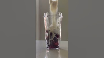 Trying Trader Joe’s Fruits & Greens Smoothie Blend