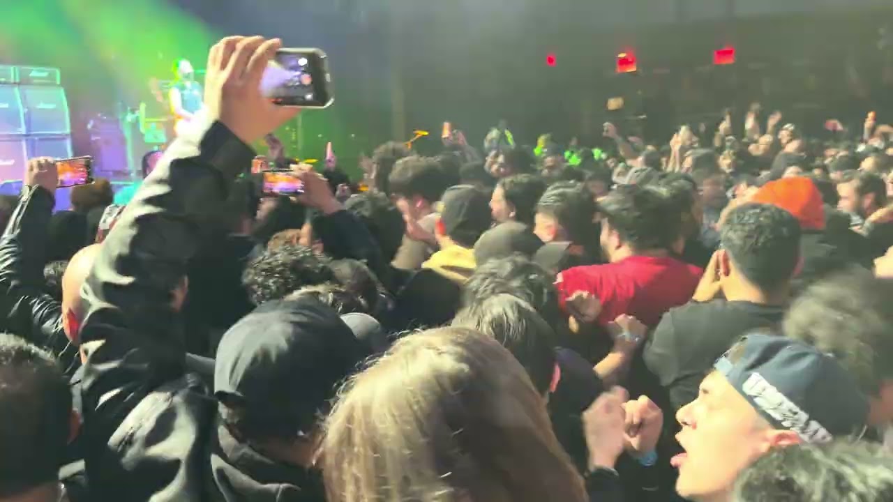 Molotov in NY Marciano 