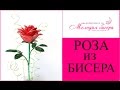 РОЗА из БИСЕРА для НАЧИНАЮЩИХ - мастер-класс