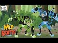 Wild Kratts - How To Decorate a Giant Christmas Tree in the Wild