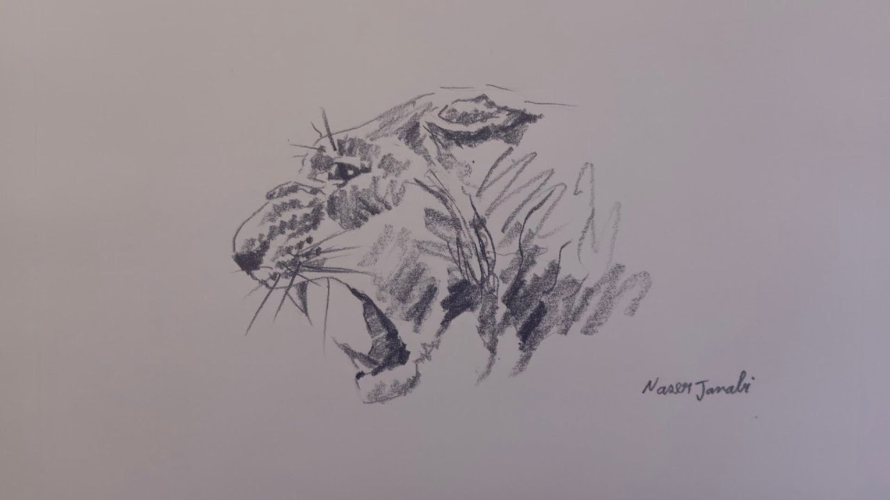 Рисунок льва. Художественный рисунок.