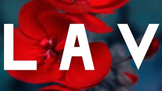 LAV ❤️ OVAKO NEŠTO SE DOGAĐA JEDNOM U ŽIVOTU TAROT ČITANJE HOROSKOP