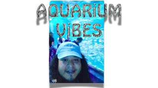 🦈🪼LET'S HiT UP THE AQUARiUM- CAMDEN NJ #whoa #iiindigotv #insane #aquarium #sharks #jellyfish#wow