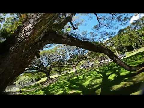 Nuuanu Valley Park Cruzin