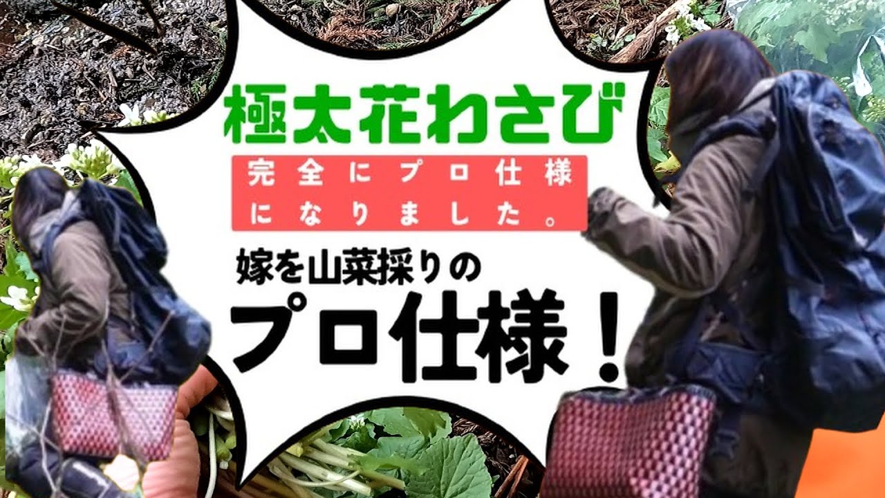 Wild Vegetables] I equipped my wife with professional-level gear