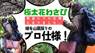 Wild Vegetables] I equipped my wife with professional-level gear