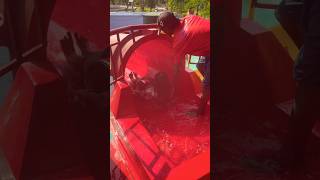 Thrilling slide in water park #shorts
