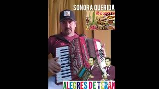 practicando Sonora Querida Los Alegres de Terán tutoriales para corridos música norteña y más