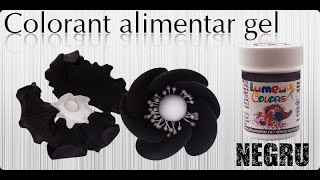 Colorant Alimentar Gel Lumea Basmelor Negru