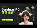 Cerebras IPO估值488亿:英伟达挑战者还是泡沫?