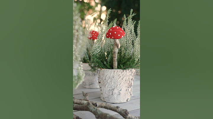 DIY-Fliegenpilze aus Tennisbällen🍄🍄🍄 #diy #herbstdeko #diyideen #diyprojects #diyhomedecor