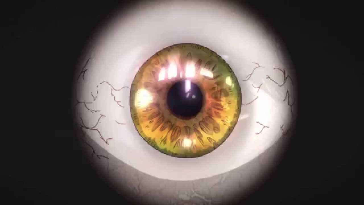 kiseijuu OST- Speak (migi's theme) accords