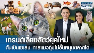 เทรนด์เลี้ยงสัตว์ยุคใหม่ดันเป็นเซเลบ! ทาสแมวทุ่มไม่อั้นหนุนตลาดโต | BUSINESS WATCH | 26-04-67 (FULL)