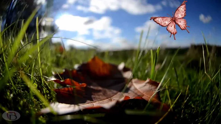 U2 "BEAUTIFUL DAY" with lyrics e traduzione