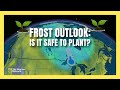 Gardeners Beware: Risk of Frost Lingers During Chilly May